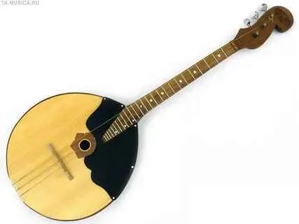 Acoustic Dombra